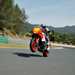 2024 Yamaha XSR900 GP on track wheelie