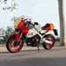 2024 Yamaha XSR900 GP static shot in sunlight